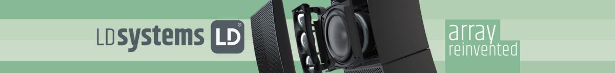 LD Systems CURV500