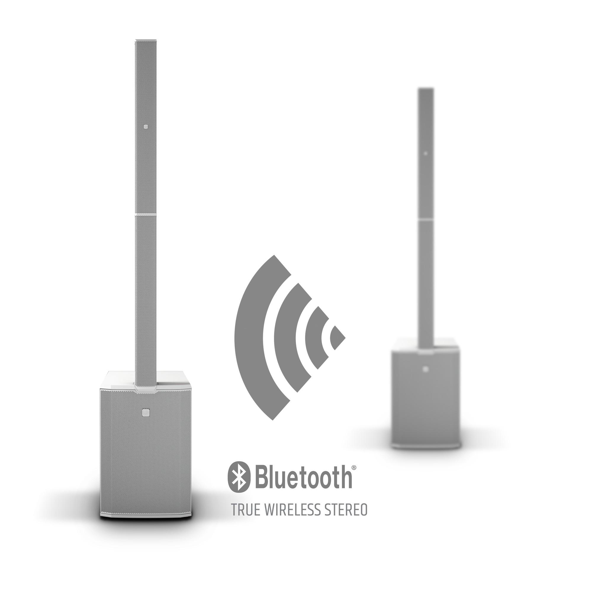 LD Systems MAUI 44 G2W