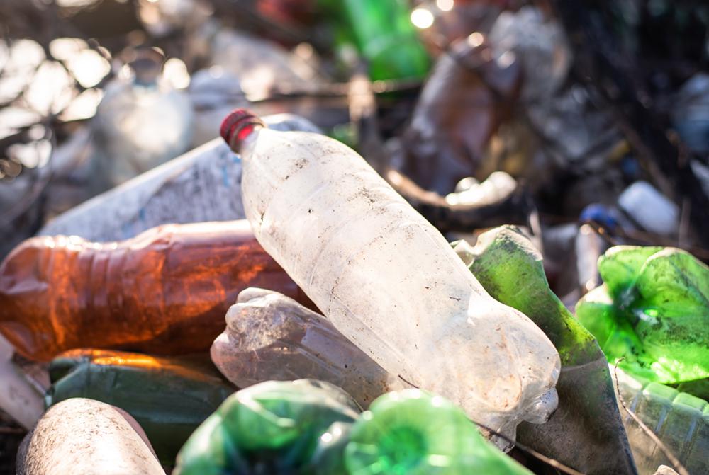 Omega Pro Audio ECO 26