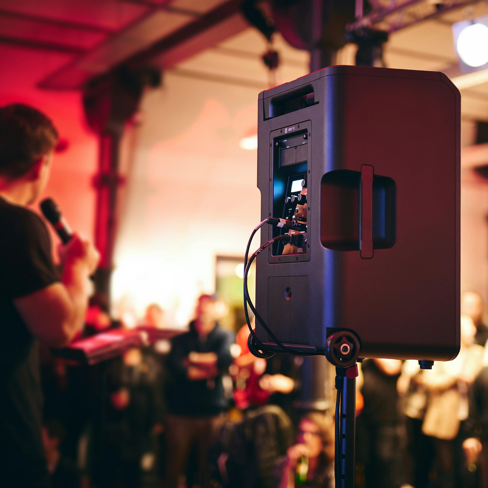 LD Systems ANNY 12 BPH2 B8