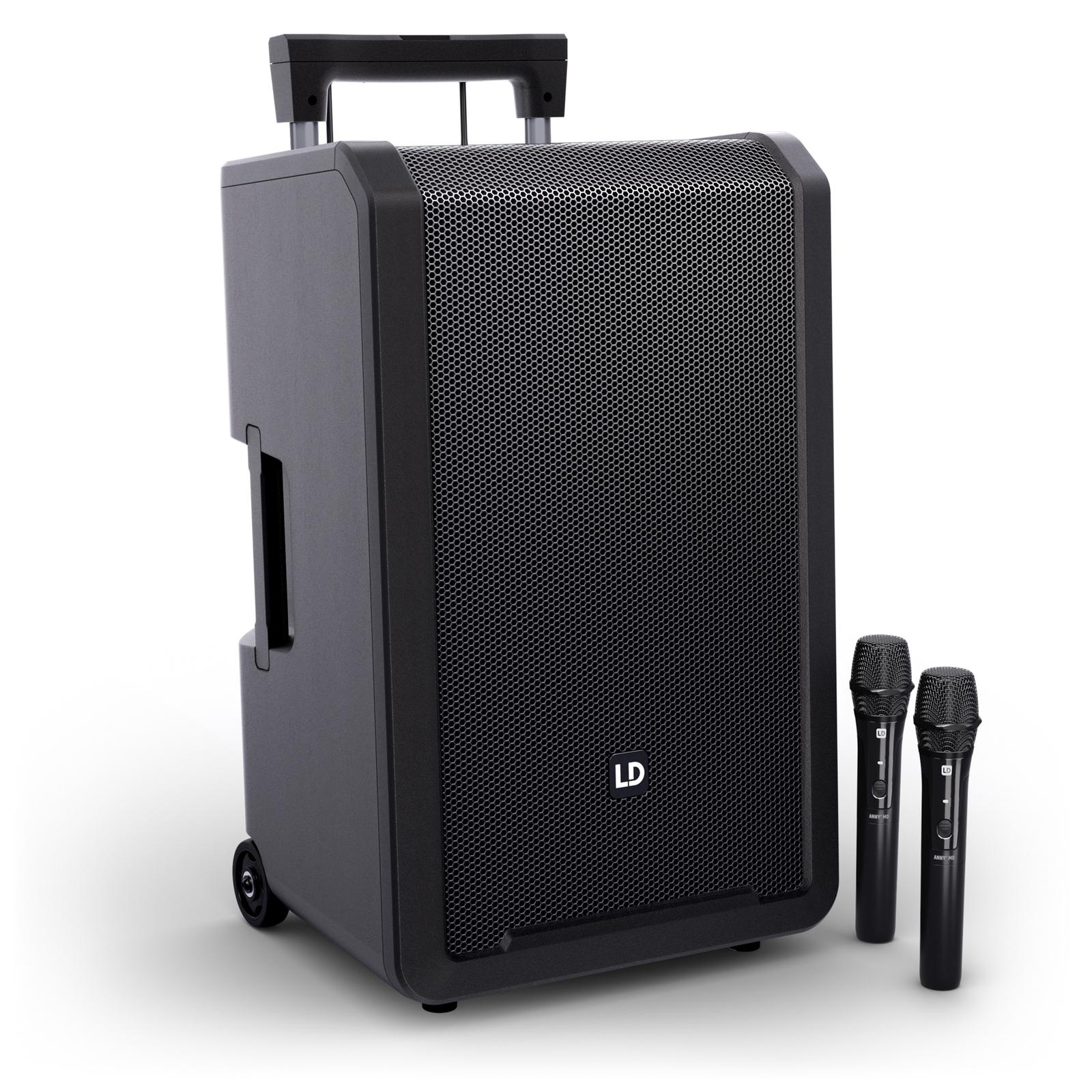 LD Systems ANNY12 HHD2 B8, Front with Two Wireless Handheld Mics